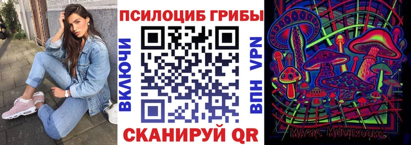 Купить закладки  Солнечногорск  Псилоцибиновые грибы Cubensis 
